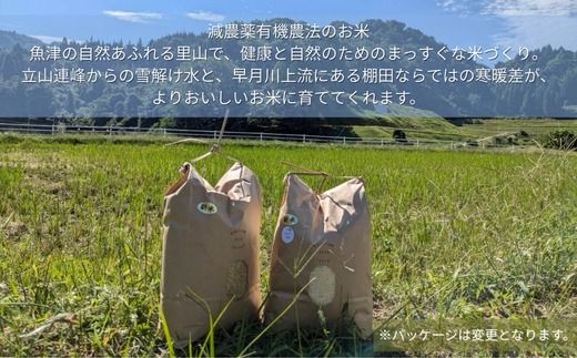 令和7年産 環境保全米コシヒカリ 玄米10kg【北アルプス剣岳源流早月川最上流の棚田米】｜お米 こしひかり ※北海道・沖縄・離島への配送不可 ※2025年10月上旬～2026年3月下旬頃に順次発送予定