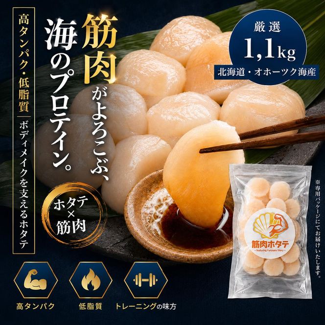 34-48 紋別一等～筋肉ホタテ　1.1kg
