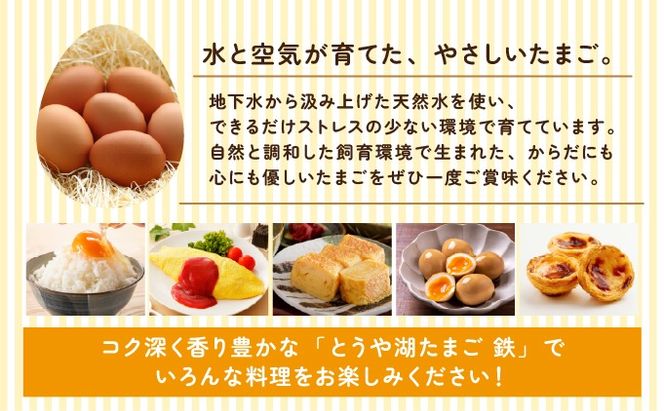 【6ヵ月 定期便】 北海道 伊達市 とうや湖 卵 鉄  60個 入り たまご