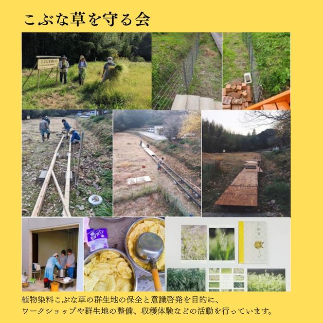 こぶな草3点セット うさぎ巾着ブローチ・ポストカード・染め草 ／ 紀美野町 【sik929-set-kbn】