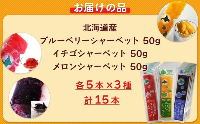 北海道 豊浦町 ブルーベリー いちご メロン シャーベット 5本×3種 【 ふるさと納税 人気 おすすめ ランキング 果物 メロン めろん 果物 いちごイチゴ 苺 イチゴシャーベット ブルーベリー メロンシャーベット 食べ比べ おいしい 美味しい 甘い 北海道 豊浦町 送料無料 】TYUN017
