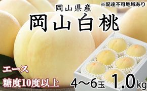 桃 2026年 先行予約 岡山 白桃 エース 4～6玉 約1kg JAおかやまのもも（早生種・中生種） もも モモ 岡山県産 国産 フルーツ 果物 ギフト 