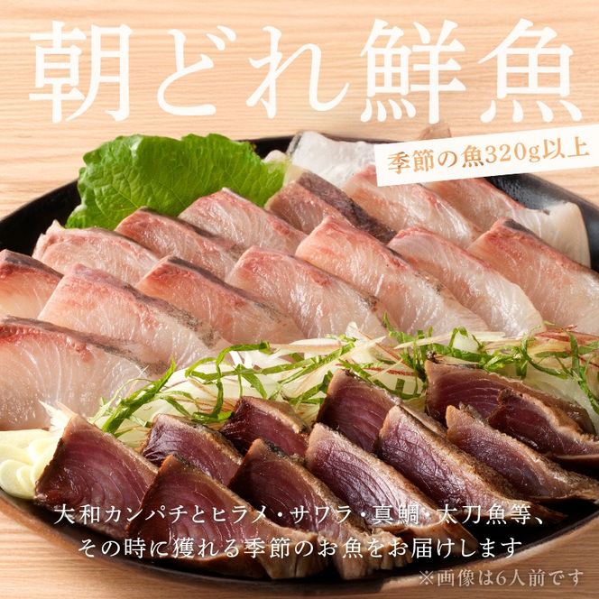 【単月お届け】大和の高級お刺身4人前 N072-YA189_1