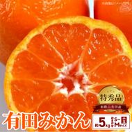 【2026年先行予約】高糖度 有田みかん 特秀品 5kg 小玉 (S～Mサイズおまかせ)_BD6035n