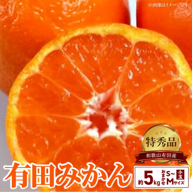 高糖度 有田みかん 特秀品 5kg 小玉 (S～Mサイズおまかせ)_BD6035n