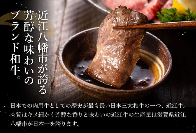 【げんさん】近江牛A5ランク焼肉美味セット【800g】【DG10W】