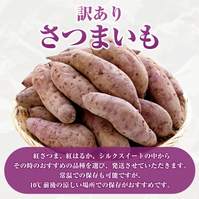 ＜先行予約受付中！2026年8月下旬以降順次発送予定＞訳あり！さつまいも (約10kg) 鹿児島県 阿久根市 さつま芋 サツマイモ 紅はるか 紅さつま シルクスイート 訳アリ 野菜 芋 イモ【松永青果】akn053-20