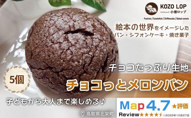 1170.【鳥取県産 チョコたっぷり生地】チョコっとメロンパン 5個 313726_BD051