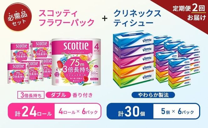 【 6ヶ月ごと計 2回お届け 】ティッシュ クリネックス 5箱入 × 6パック トイレットペーパー ダブル スコッティ 3倍長持ち 4ロール × 6パック フラワーパック 香り付き