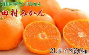 【有田のブランドみかん】田村みかん 大玉 約9kg (2Lサイズ)