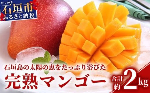 yꌧΊ_szy2026N s\zΊ_̃}S[ 2kg  yꌧ Ί_s Yn { Ί_Y }S[ n}S[zHI-2