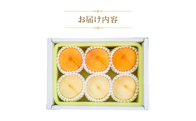 【天満屋選定品】岡山県産白皇・黄金桃食べ比べセット（約270g×各3玉）2026年発送