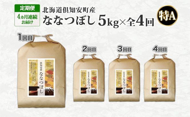 北海道 定期便 4ヵ月連続 全4回 倶知安町産 ななつぼし 精米 5kg 米 特A 白米 お米 道産米 ブランド米 契約農家 ごはん ご飯 あっさり ふわふわ 国産 人気 お取り寄せ ギフト 贈り物 備蓄 