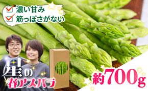 【2027年3月～発送】【星のアスパラ】グリーンアスパラガス 約700g / アスパラ アスパラガス 野菜 / 南島原市 / ほしのYA[SEY022]