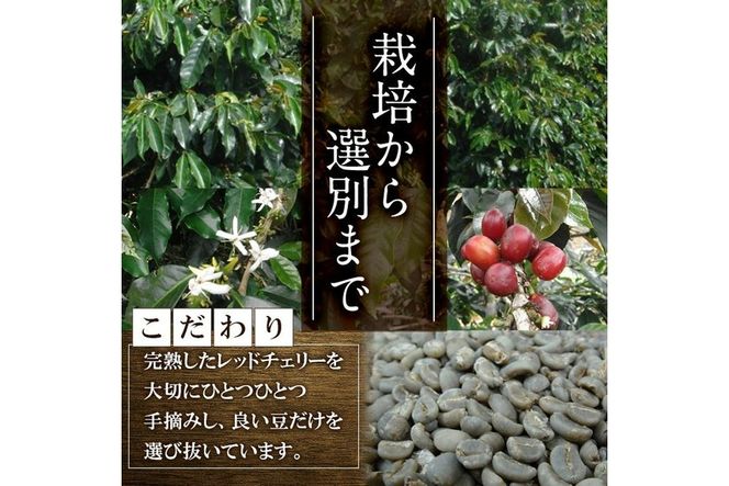 深煎ハイランドコーヒー (粉・200g×2P) 珈琲 コーヒー 飲料 ドリンク 大分県 佐伯市【EC04】【天然素材 (株)】