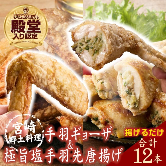 【手羽先サミット殿堂入り！】極旨塩 手羽先 唐揚げ 手羽ギョーザ セット 計12本（国産 鶏肉 手羽先 ギョウザ 餃子 塩 味付き 人気）