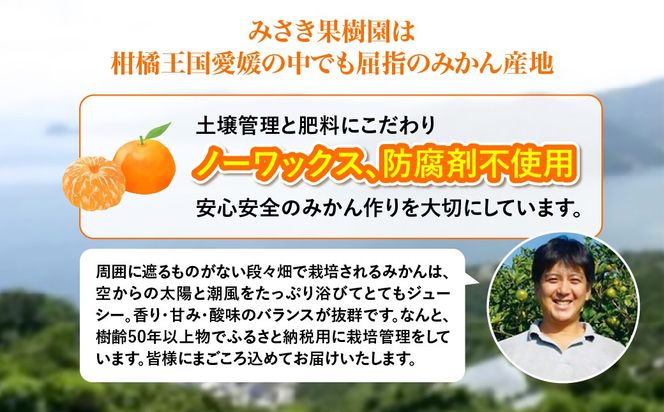 【先行予約】デコ媛 5kg（2L～3L）※離島への配送不可（2027年2月下旬頃より順次発送予定） IKTAR008