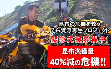 雑海藻から海を守り、日本の食文化である昆布の漁場の再生支援寄附 ＜１口 100,000円 より＞ | 返礼品なし 緊急支援 昆布 こんぶ 北海道 釧路町 釧路超 特産品　121-9121-14