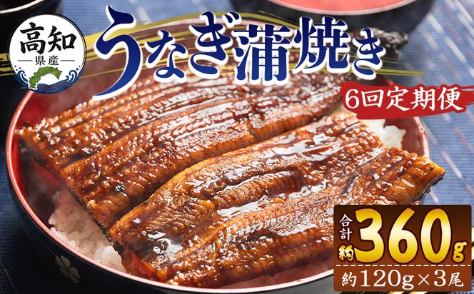 うなぎ 国産 定期便 100g～120g 3尾 6回 蒲焼き 高知県産 養殖 魚介 国産 海鮮 魚 かばやき 鰻 ウナギ 惣菜 おかず お手軽 加工品 加工食品 冷凍 Wfb-0043