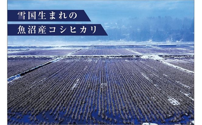 【無地熨斗付】ゆきまち米 3合×6個 極上魚沼産コシヒカリ 令和8年度米 お米 コメ