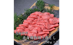 鳥取和牛赤身焼肉切り落とし　500g（250g×2P） 313726_DC002