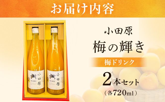 小田原 梅の輝き720ML瓶（梅ドリンク）2本セット【 飲み物 ドリンク 神奈川県 小田原市 】 142069_HR001