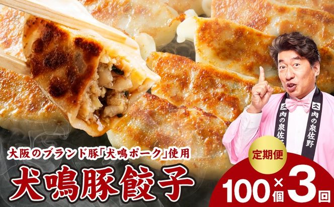 G5384 【泉佐野ブランド豚】犬鳴豚餃子 100個×3回【国産 豚肉 ぶたにく 定期便 犬鳴ポーク 焼くだけ 人気 総菜 冷凍】