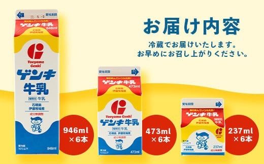 【ふるさと納税限定】ゲンキ牛乳バリューセット【八重山ゲンキ乳業】【日本最南端の乳業】【伊盛牧場産 生乳100％使用】GN-3-1