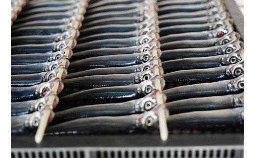 【訳あり】 名人が作る魚の丸干し＆開きセット 3kg 干物 国産 天然 ひもの 干物セット 訳アリ わけあり 魚 魚介 冷凍 新鮮 鮮魚 選抜 武久海産 丸干し 切り身 おつまみ おかず 人気 珍味 グルメ 規格外 国産 武久海産 愛媛 愛南	
