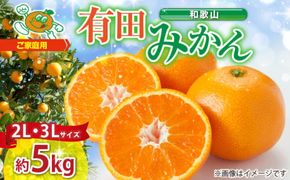 ZJ6084_【2026年先行予約】ご家庭用　和歌山有田みかん 約5kg (2L、3Lサイズいずれか)【湯浅町】