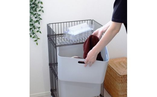 ワイヤーワゴン（レギュラー・ダブル）WW-WW-RD