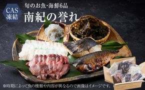 CAS凍結 南紀の誉れ 旬 の 海産物 6品 セット お楽しみ 簡単調理 干物 お造り 塩焼き など 304018_C001
