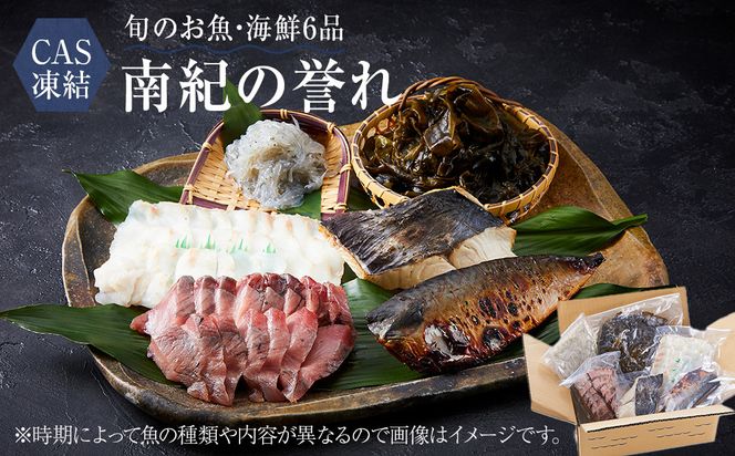 ya̎RlzCAS I̗_ {  CY 6i Zbg y ȒP   Ă Ȃ 304018_C001