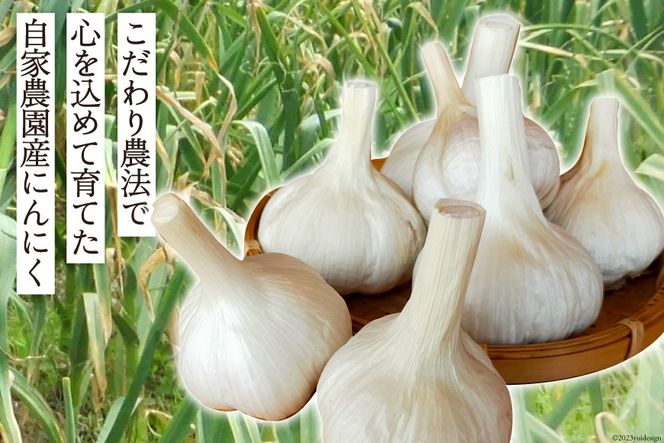 【期間限定発送】 にんにく 国産 1kg [甲斐自然派農園 宮崎県 日向市 452060131] ふるさと納税 ニンニク 1キロ 栽培期間中 無農薬 農薬不使用 化学肥料不使用 日向市産