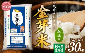 【 定期便6回 】令和7年 宮城県産 金芽米 ひとめぼれ 計30kg ( 5kg×6回 )   [ 宮城県 加美町 km-my-knm05-t6-r7 ]  お米 こめ コメ 精米 白米 きんめまい おすすめ 新米 ナカリ タカラ米穀 パワーライス カメイ 新生活応援 美味しい こだわり