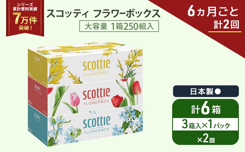 定期便 ティッシュ スコッティ フラワーボックス 3箱 × 1 パック[ 6ヶ月ごと計 2回 ]ティッシュセット