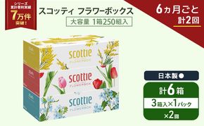 定期便 ティッシュ スコッティ フラワーボックス 3箱 × 1 パック《 6ヶ月ごと計 2回 》ティッシュセット