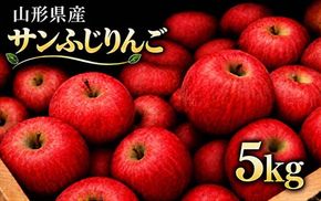 FYN9-385 ≪2026年先行予約≫ 山形県産 サンふじ りんご 5kg 2026年11月中旬から順次発送 林檎 りんご リンゴ 秋果実 果物 くだもの フルーツ 産地直送 期間限定 山形県 西川町 月山
