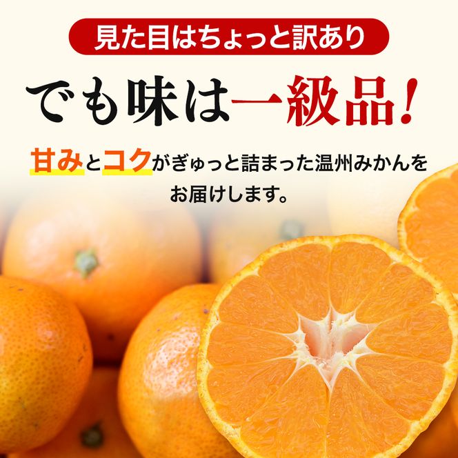  【先行予約】訳あり品 温州みかん 「おてんば娘」10kg(早生・中生・晩稲)【S～2Lサイズおまかせ】【2025年10月中旬～2026年1月中旬頃までに順次発送】＜味好農園＞/みかん 蜜柑 柑橘 温