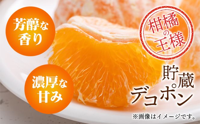 【県共通返礼品】貯蔵デコポン　約3kg化粧箱 果物 みかん 柑橘 低温貯蔵 香川県 