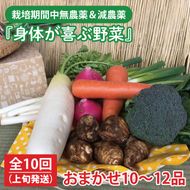 【発送月固定定期便】栽培期間中無農薬＆減農薬『身体が喜ぶ野菜』おまかせ10～12品（上旬発送）全10回 【新鮮 やさい ベジタブル 安心 安全 おいしい ランダム】（KBE-114）