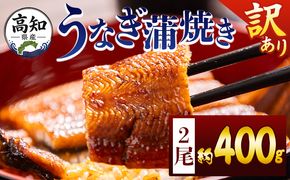 うなぎ 蒲焼き 2尾 計400ｇ 高知県産 鰻 フジ物産 国産 養殖 fb-0206