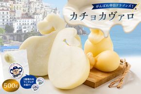 がんばれ中日ドラゴンズ！カチョカヴァロ500g【中日ドラゴンズコラボ】【0073-076】