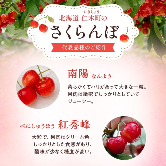 先行受付 北海道 仁木町産 ジャンボサイズ さくらんぼ 【 南陽 】 2Lサイズ以上 300g×2パック 計600g　サクランボ チェリー フルーツ 果物 果物類  仁木町 仁木 [嶋田茂農園匠]