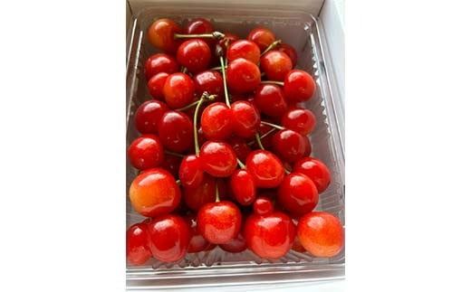 FYN6-050 ≪2026年先行予約≫加工用 山形県 品種おまかせ さくらんぼ 500g バラパック 2026年6月上旬頃から順次発送 果物 くだもの フルーツ 夏果物 サクランボ チェリー 訳あり ご自宅用 ご家庭用 農業者支援品 農家支援品 山形県 西川町 月山