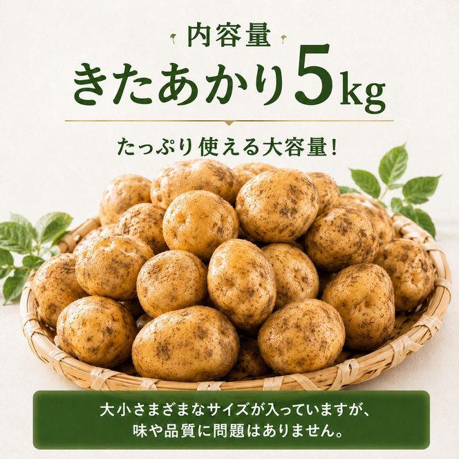 じゃがいも きたあかり 5kg 産地直送 農家直送 野菜 キタアカリ  甘い ホクホク ポテトサラダ コロッケ じゃがバター 常温 保存 備蓄 大容量 サイズ 不揃い 混合 家庭用 おうちごはん 送料無料　大河原町