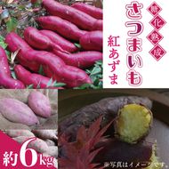 ＼王道のホクホク系／山﨑観光農園の紅あずま 約6kg｜栃木県 益子町 ふるさと納税 里山 熟成 さつまいも 糖化熟成さつまいも 紅あずま プレミアム 蜜芋（AU001-1）