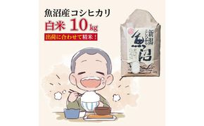 令和7年産 魚沼産コシヒカリ【精米】10kg