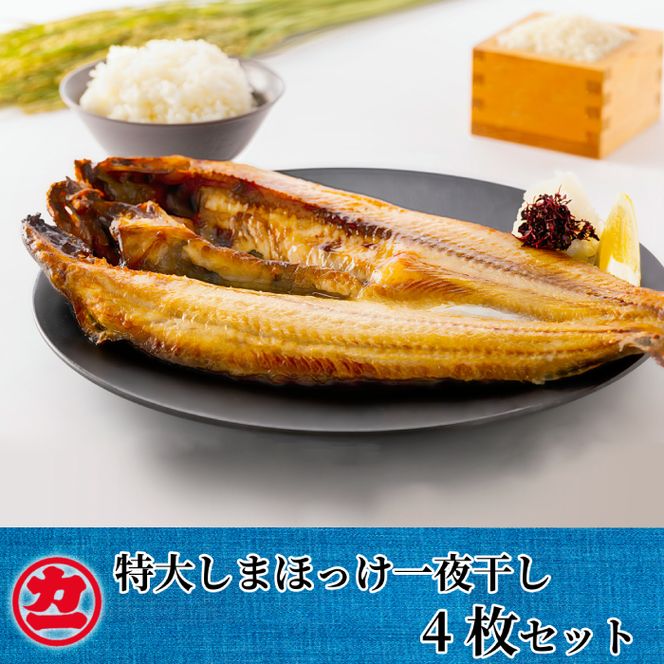 15-270 脂の乗った特大しまほっけの一夜干し4枚セット