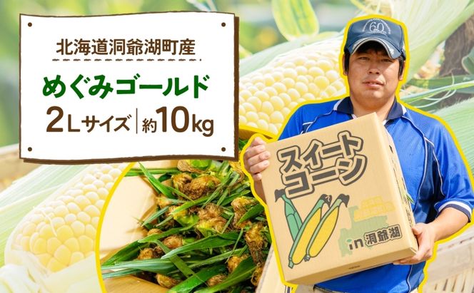 北海道産 青野農園 めぐみ ゴールド 2Lサイズ 約10kg 先行受付 2026年8月中旬頃から出荷 スイートコーン 北海道 とうもろこし トウモロコシ コーン 恵味 旬 朝採れ 新鮮 野菜 農作物 産地直送 甘い 